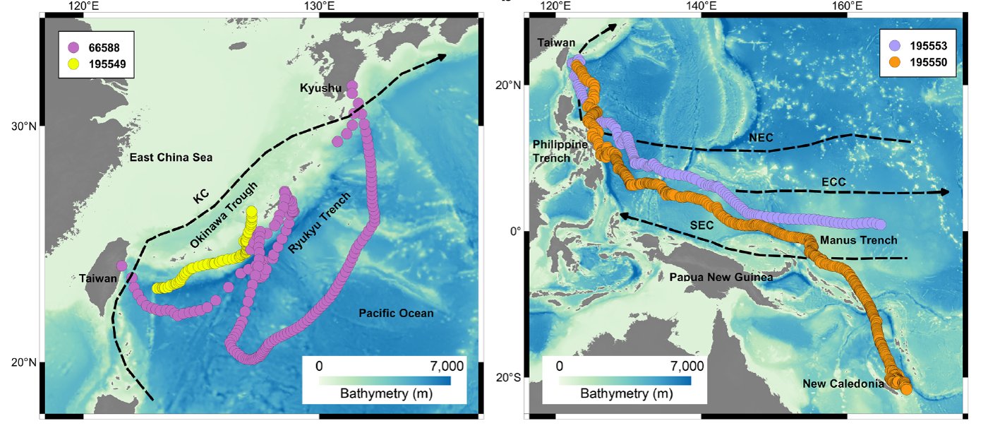 Satellite tag tracks